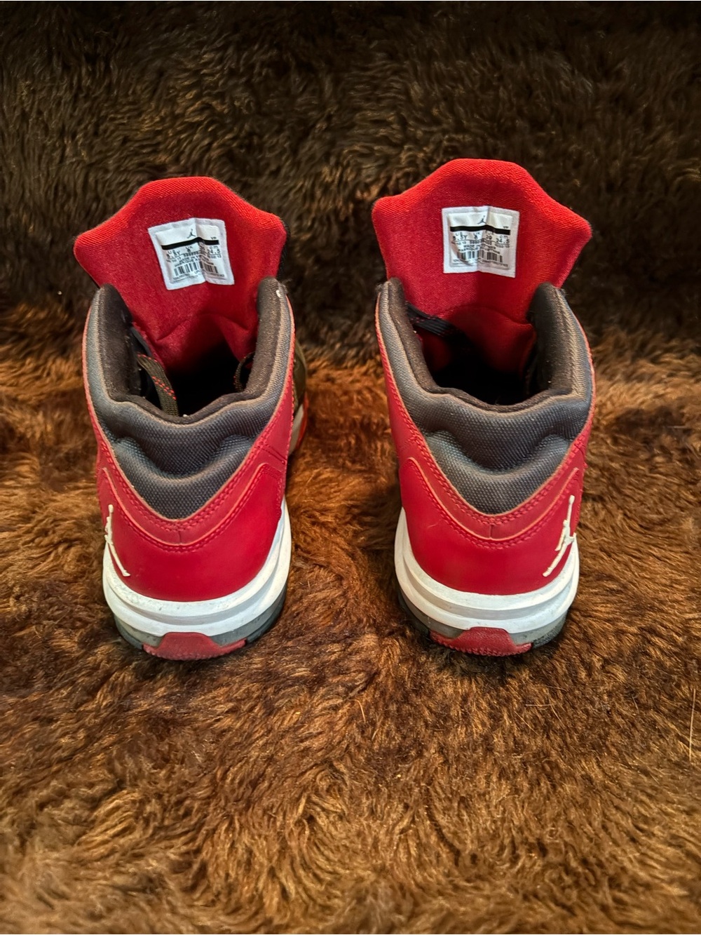 Jordan Flights - Picture 3 of 5